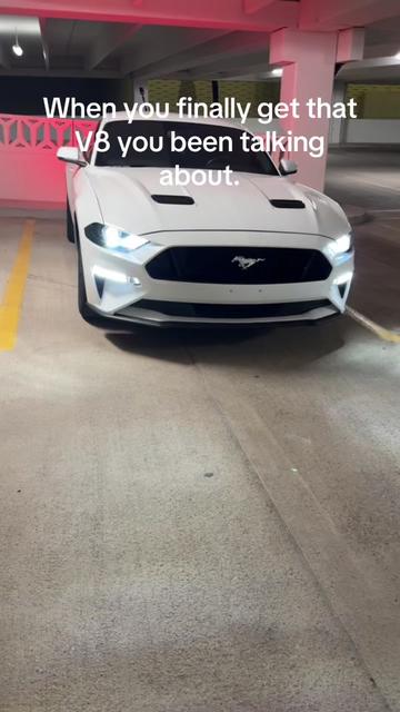 @5.0 Snowyy