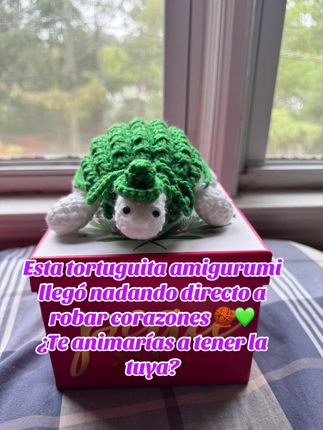 @Creaciones Luis