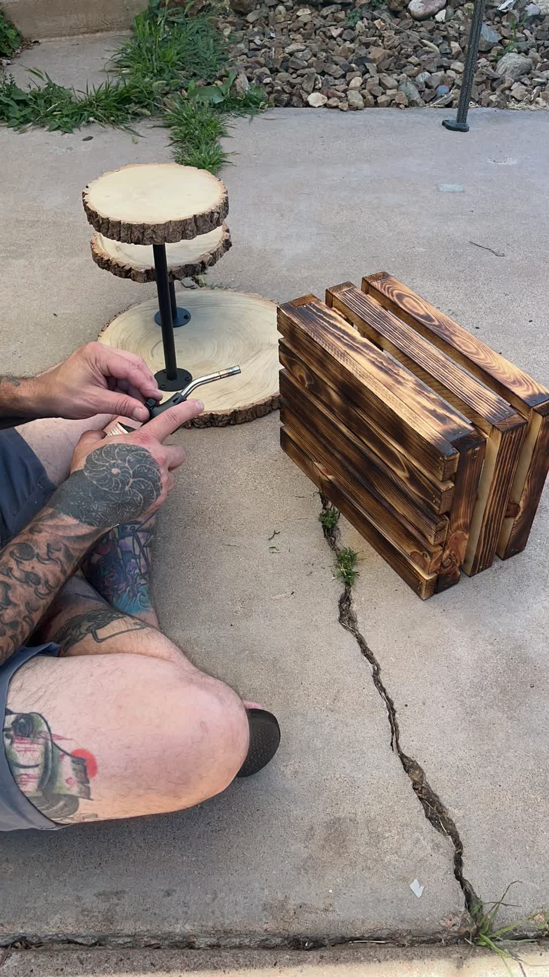 @Rocky Mountain Punk Nature Art