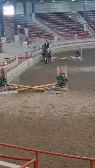 @🐎Aby 😌👌✨️