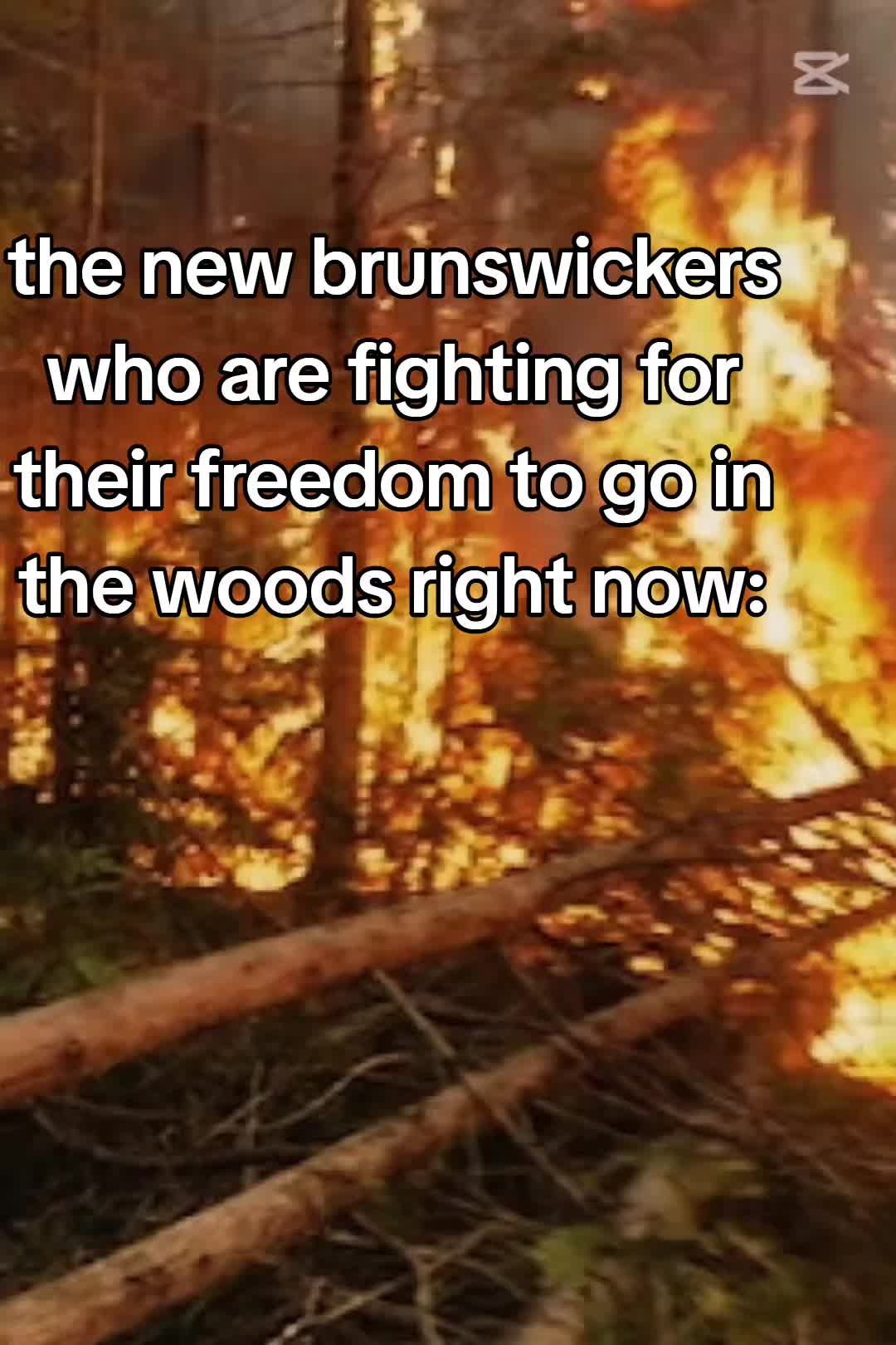 @freddy beach memes