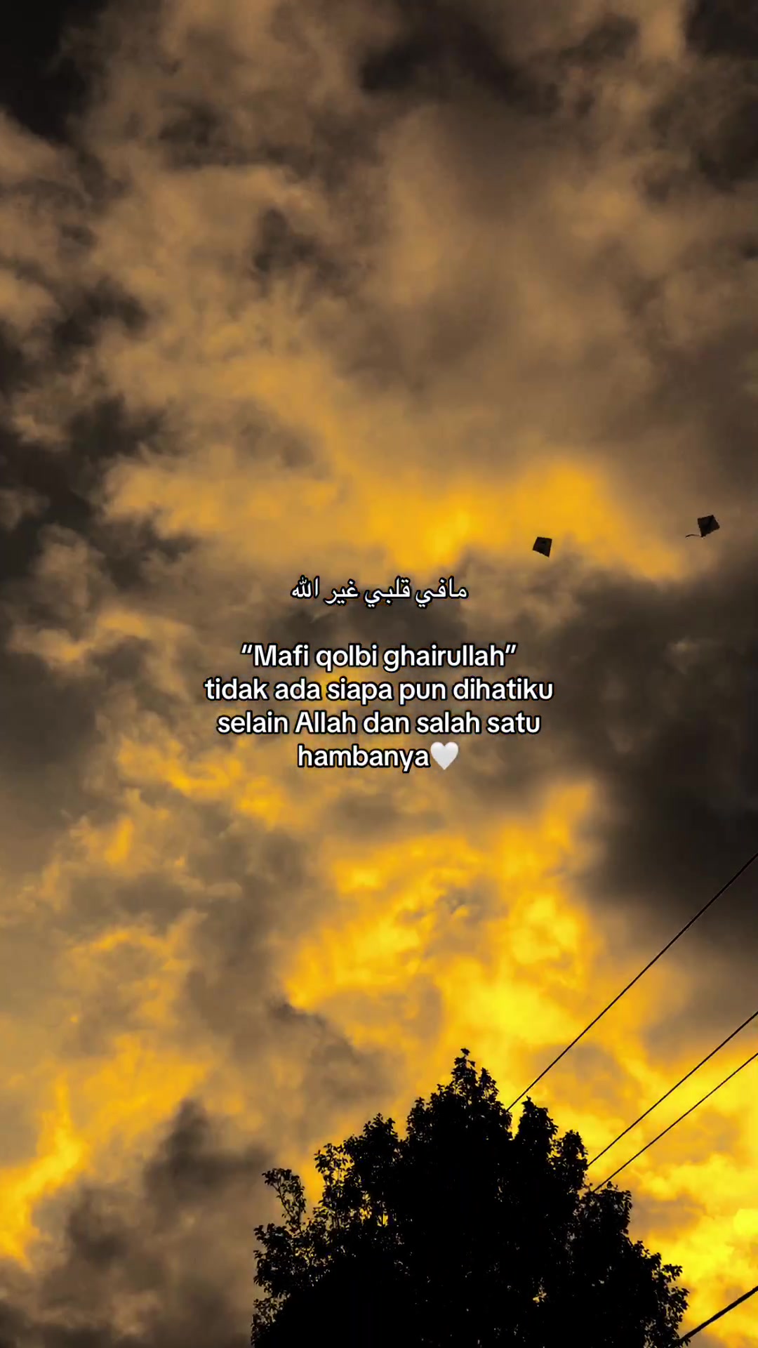 @﷽