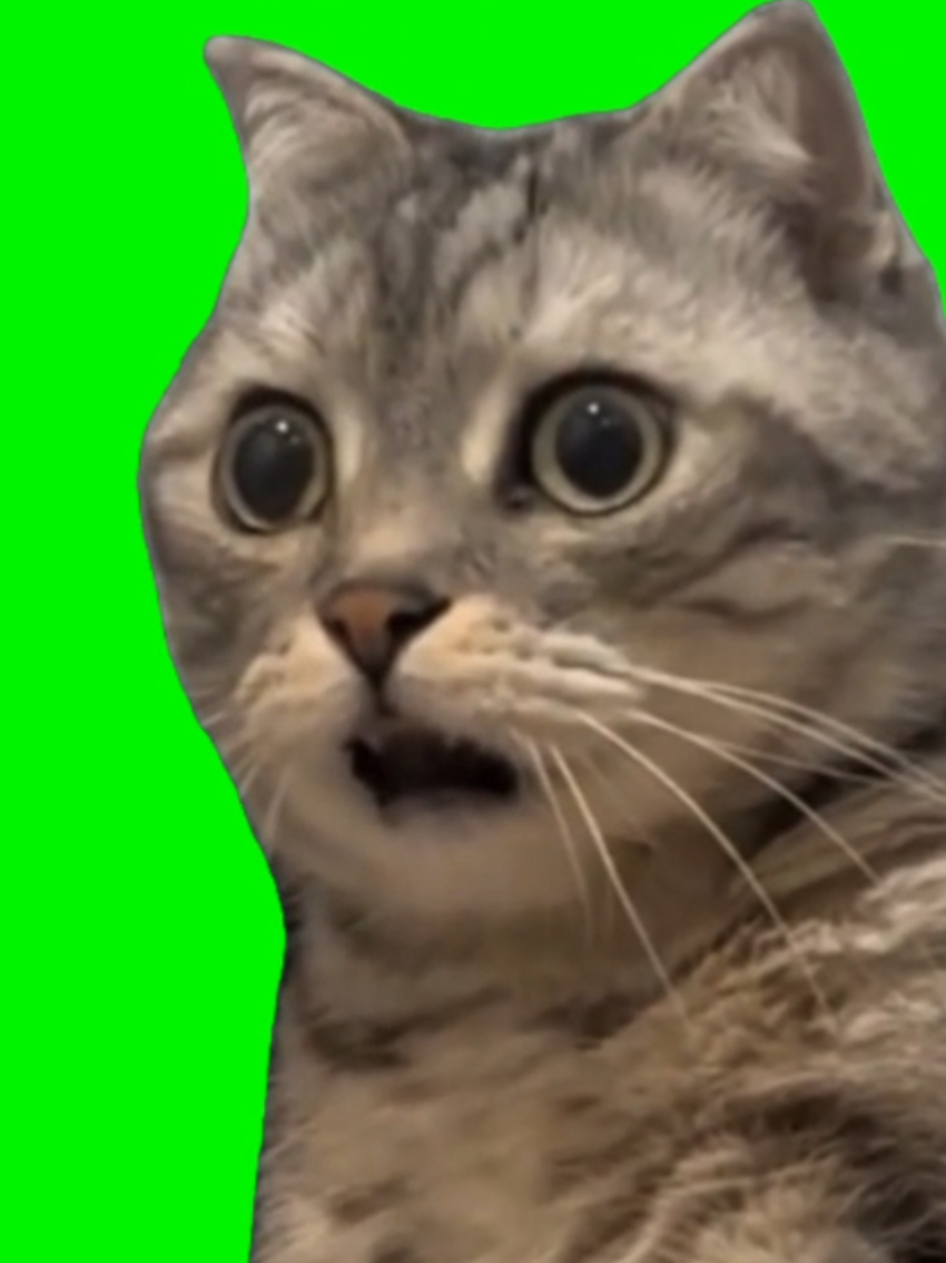 @GreenScreamMemes