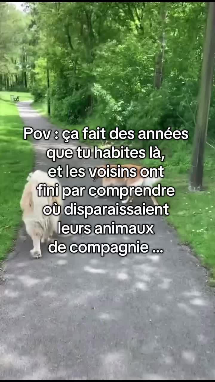 @grenouille556