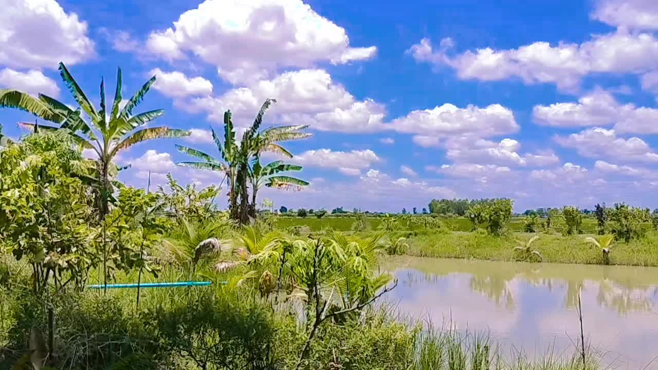 @himdoi59