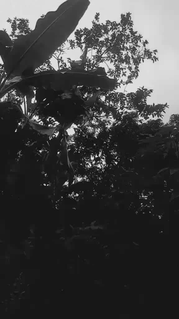 @🦋suba kutty🖤🦋