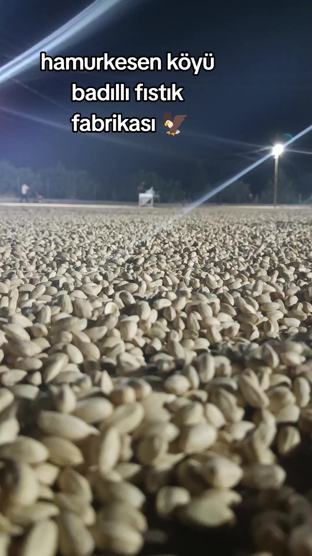 @Badıllı 63 🦅👑