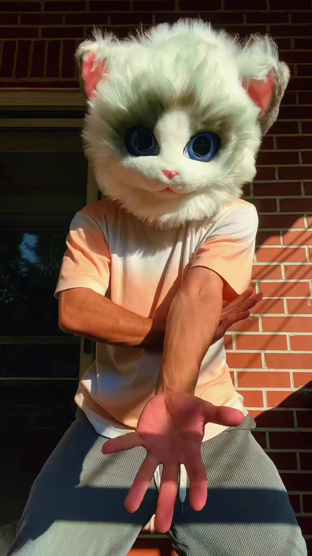 @The CaT 😼