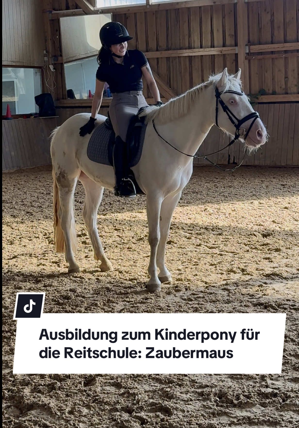 @Sophia &bull; SL Reitschule
