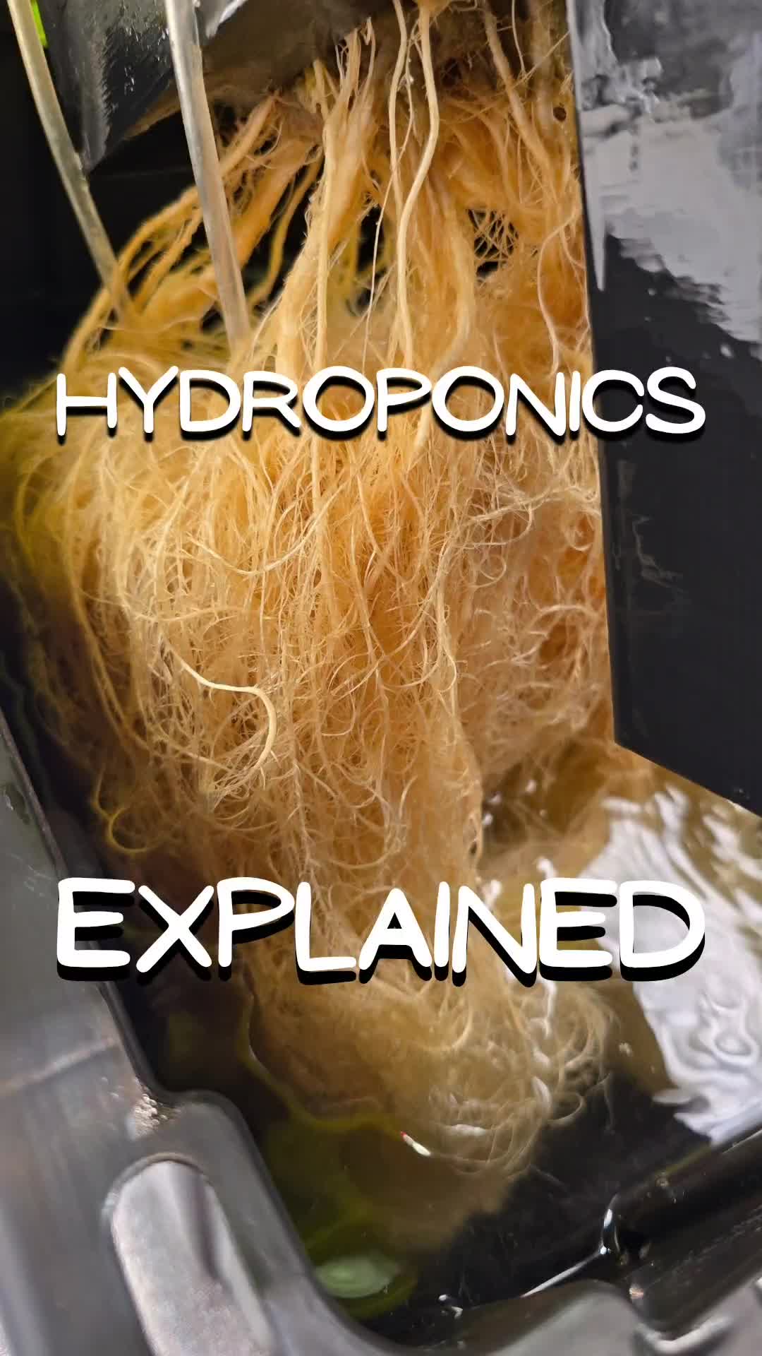 Aquaflow Hydroponics (@aquaflow_hydroponics) - Urlebird