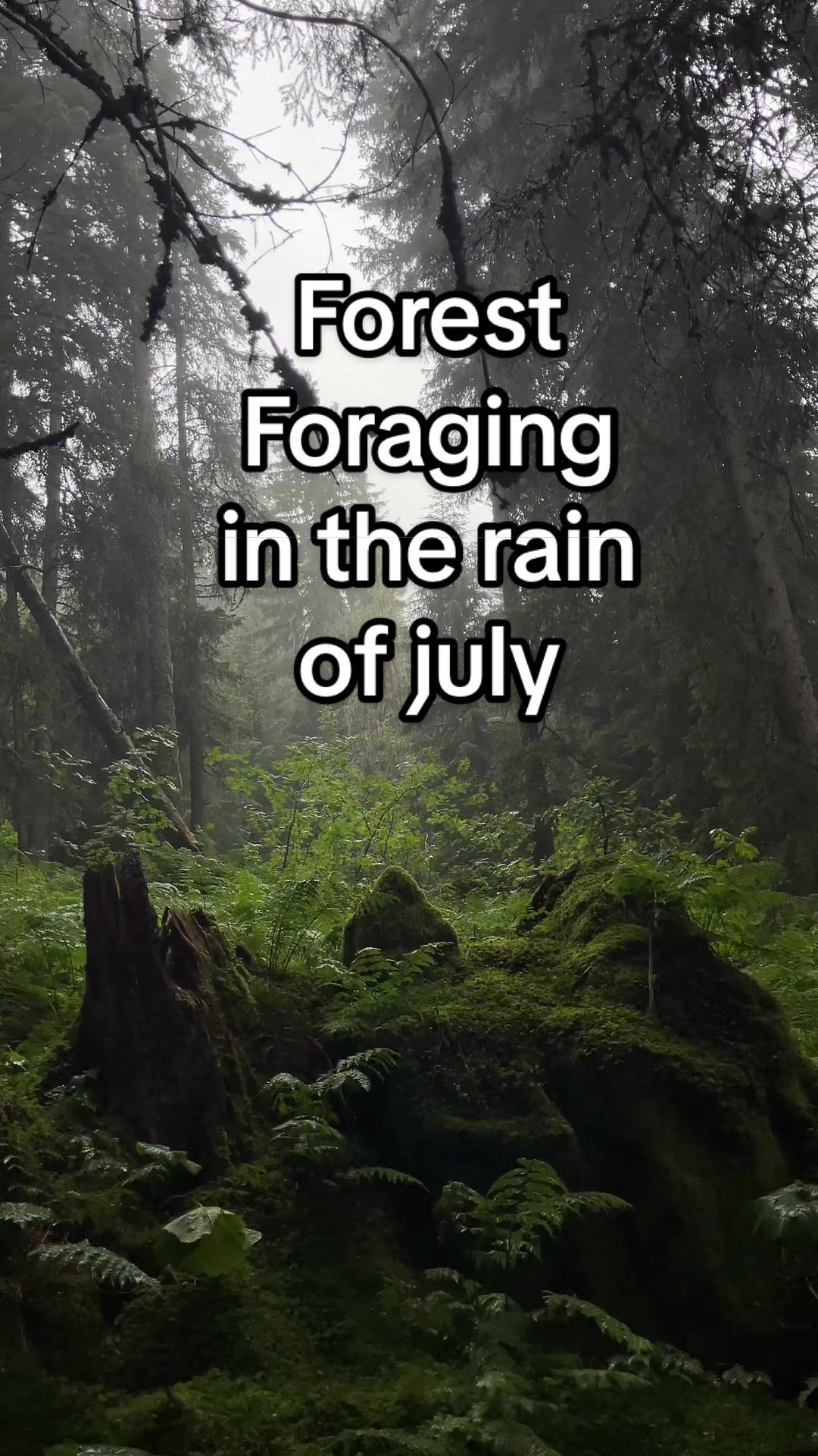 @SwissForestElf