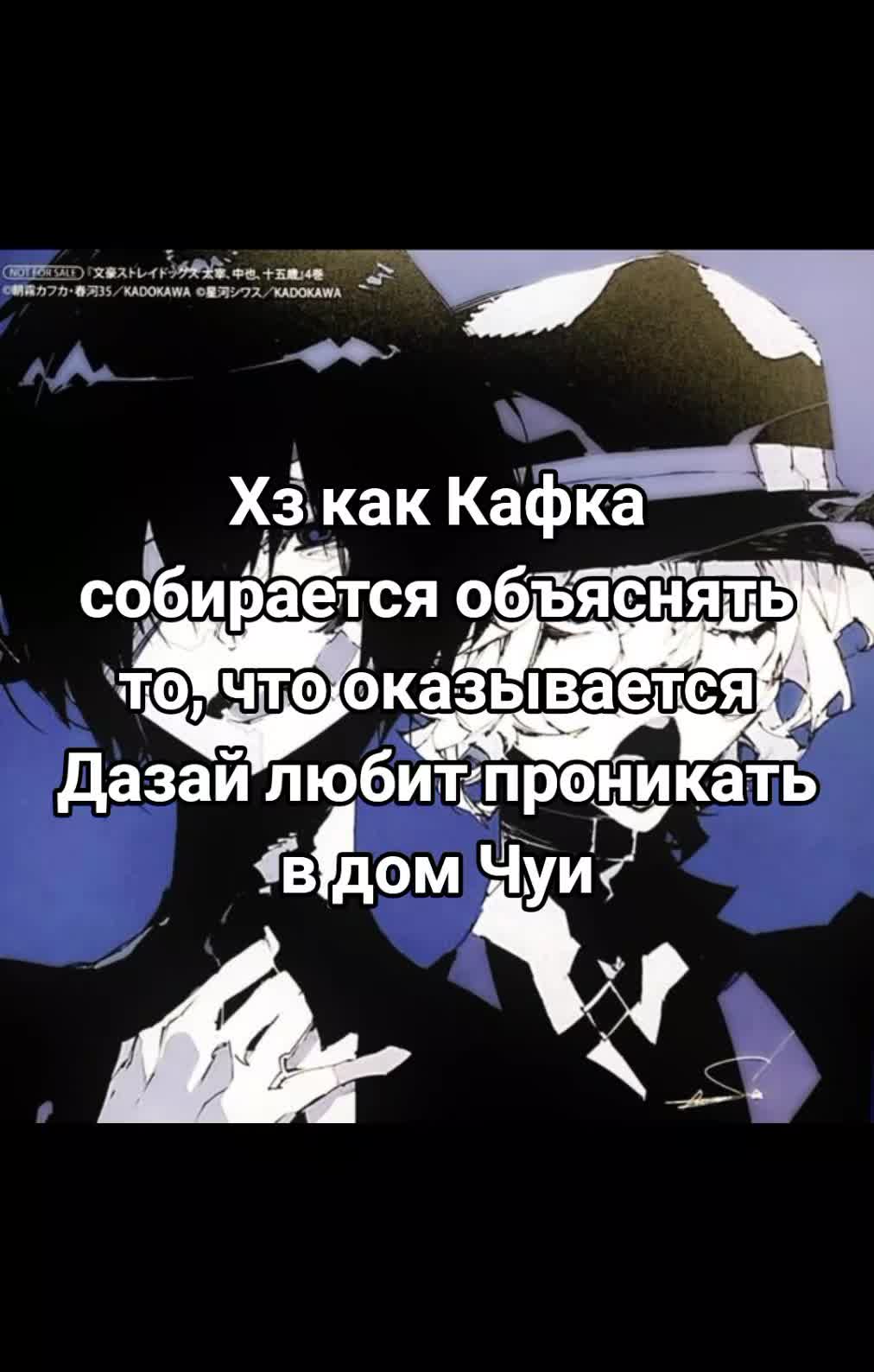 @amie