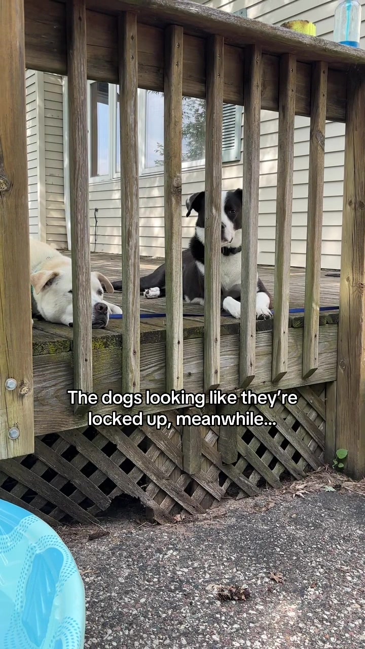 @Michelle, Bruce & Kuzco