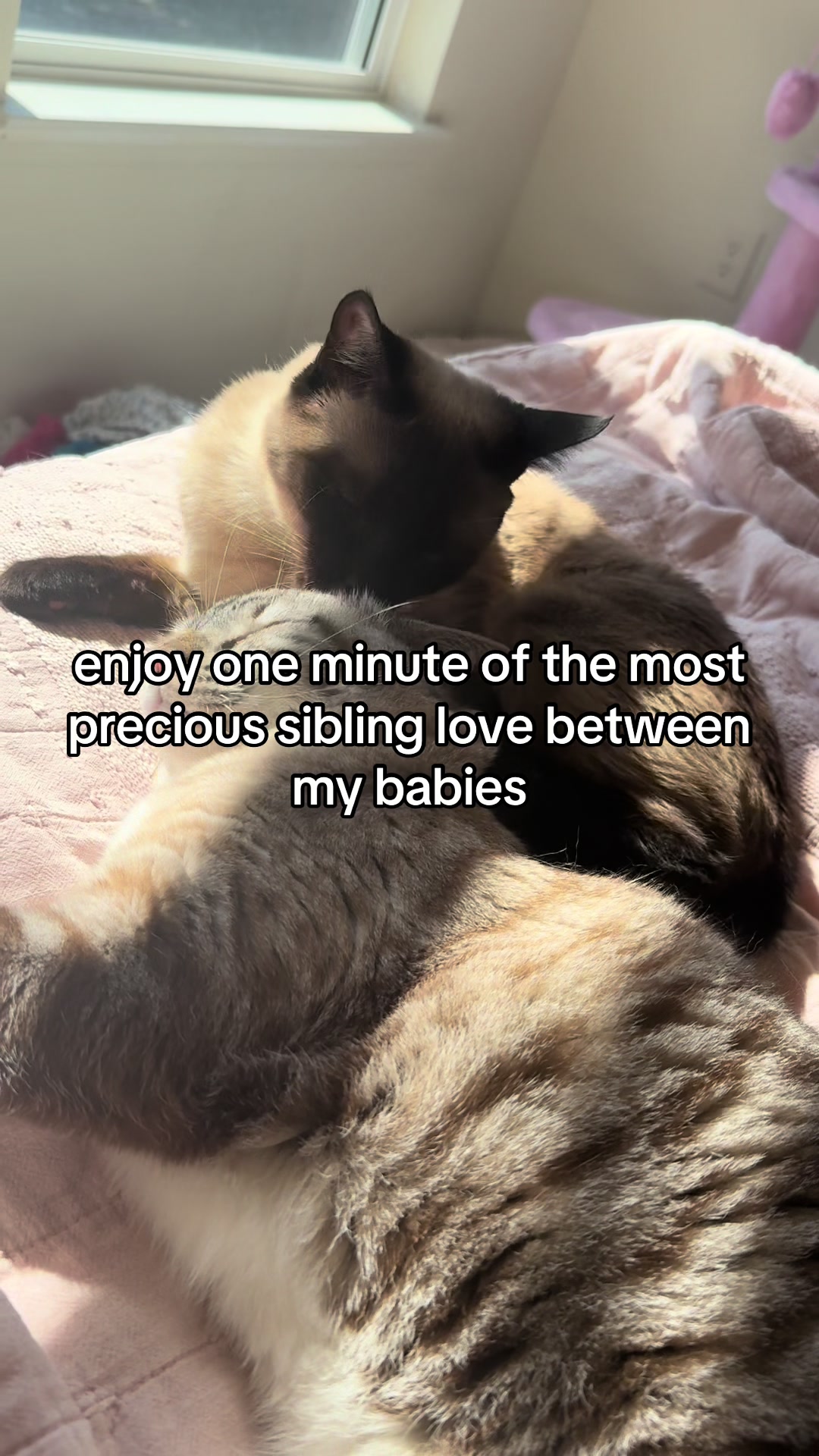 @nicole