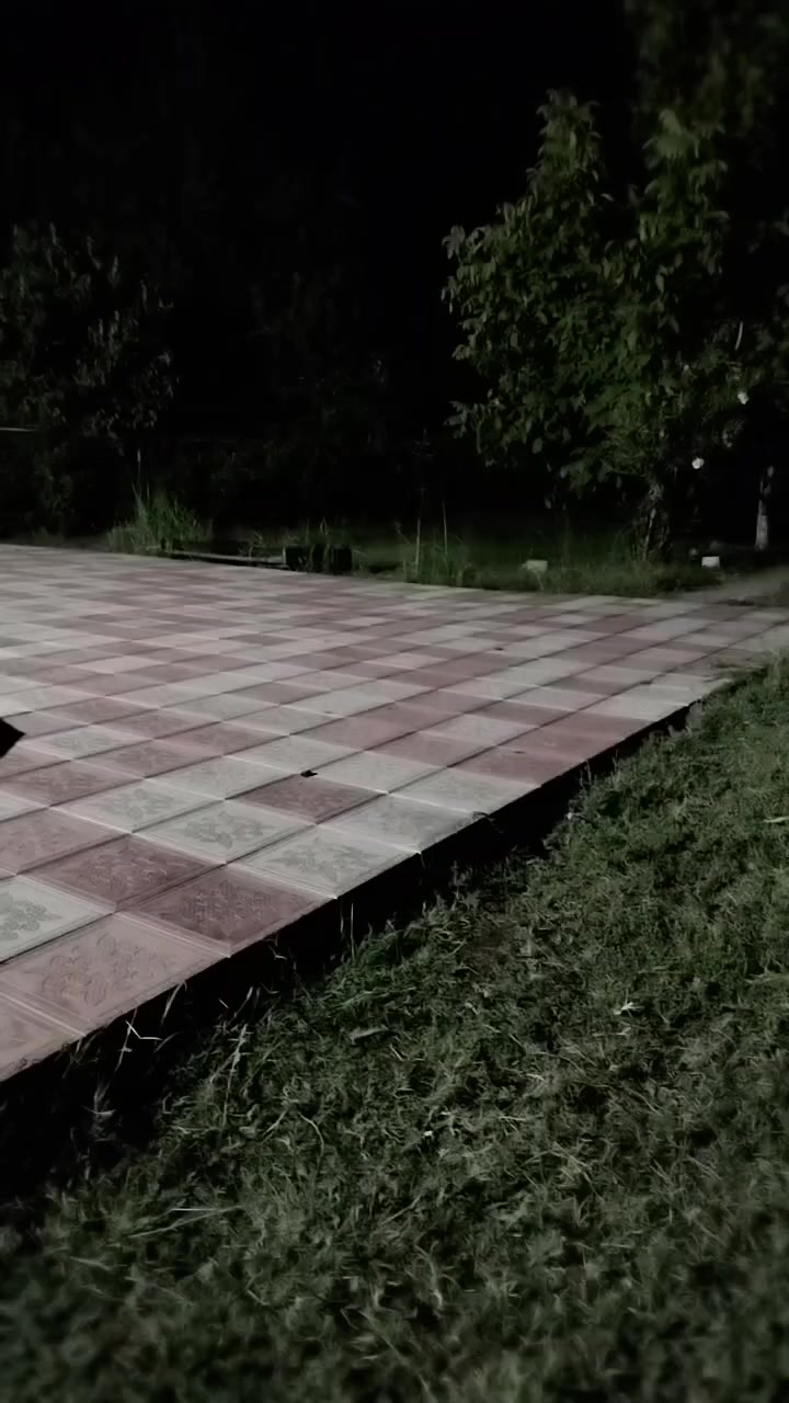 @Ализамин Гарибов