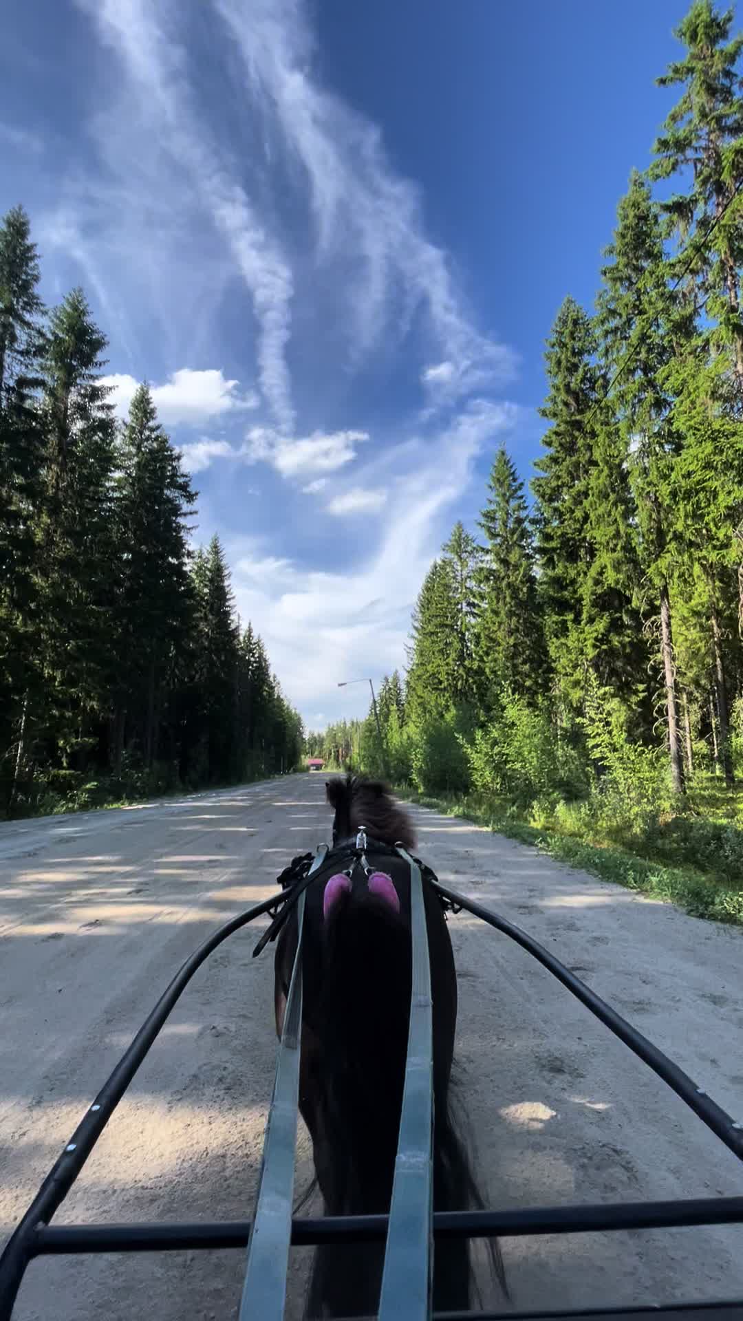 @🦄🦄