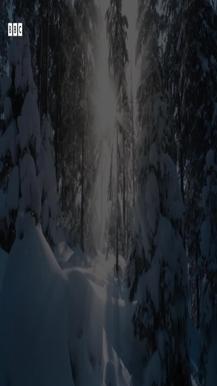 @##