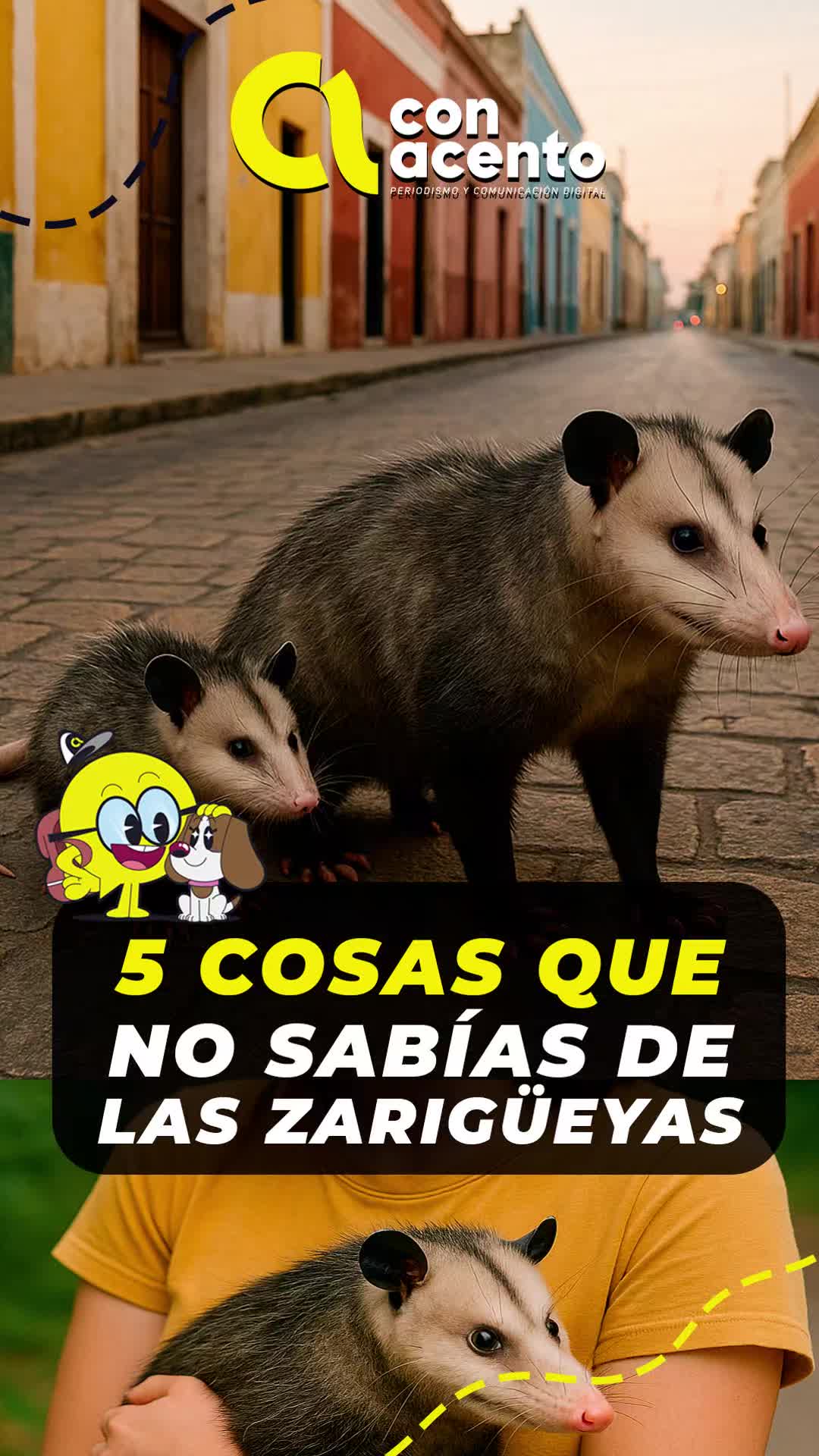 @Con Acento