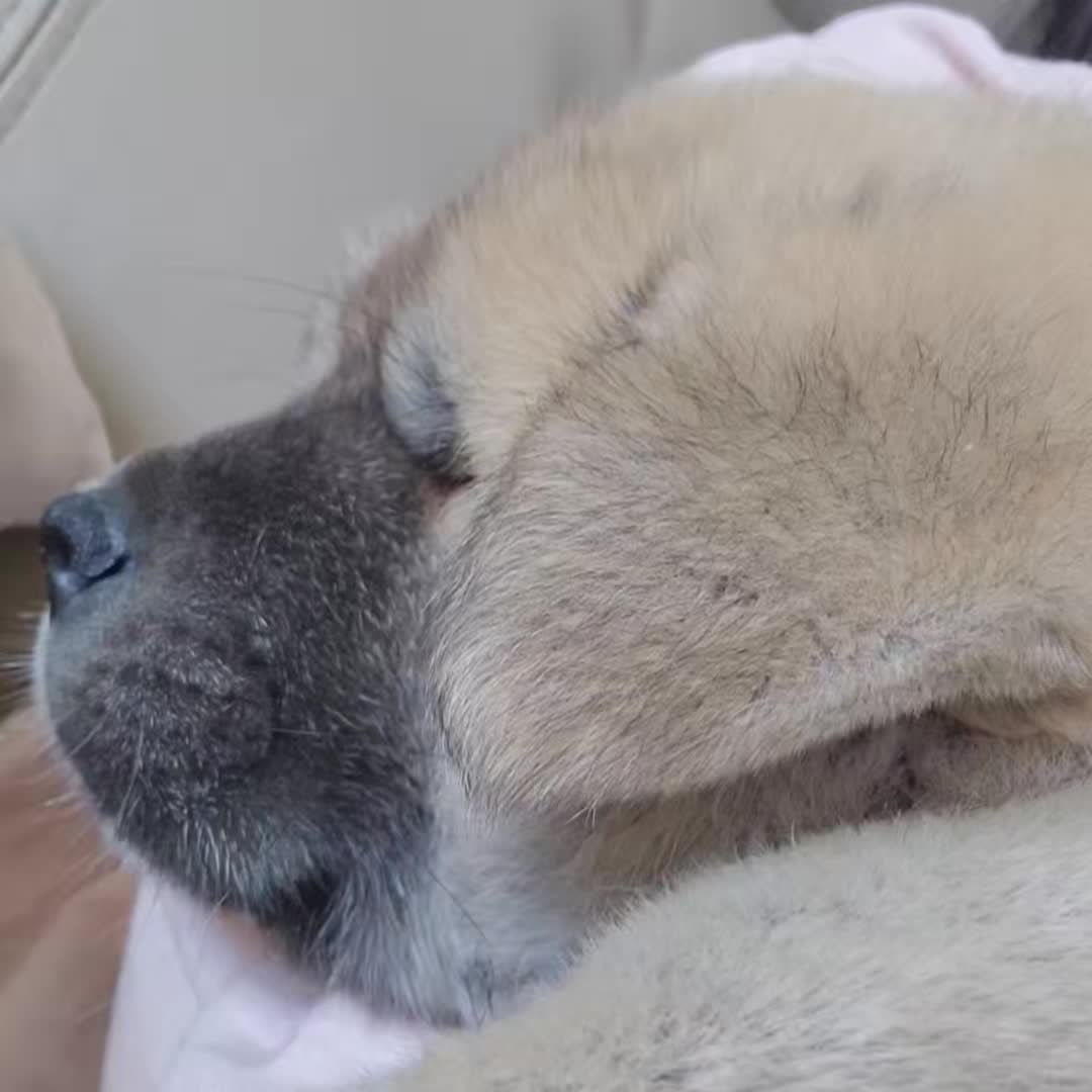 @오늘도 귀여워