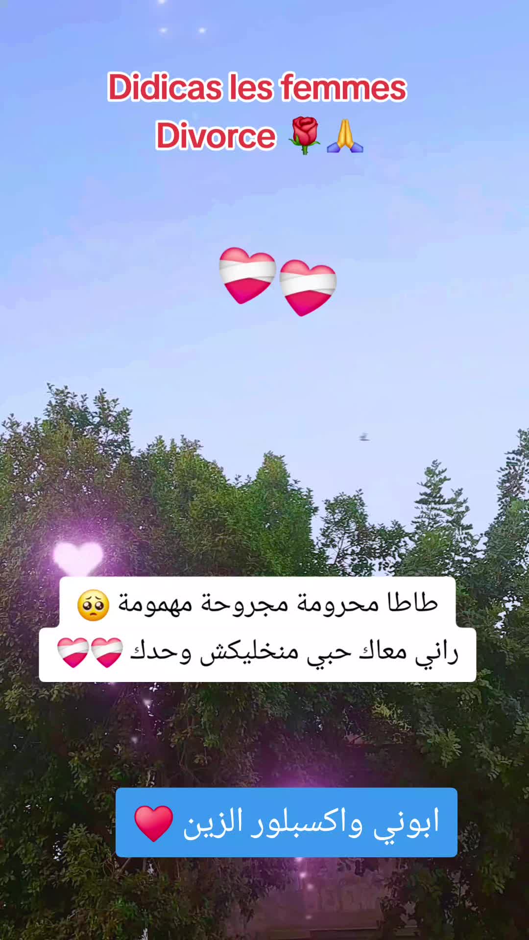 @Amine