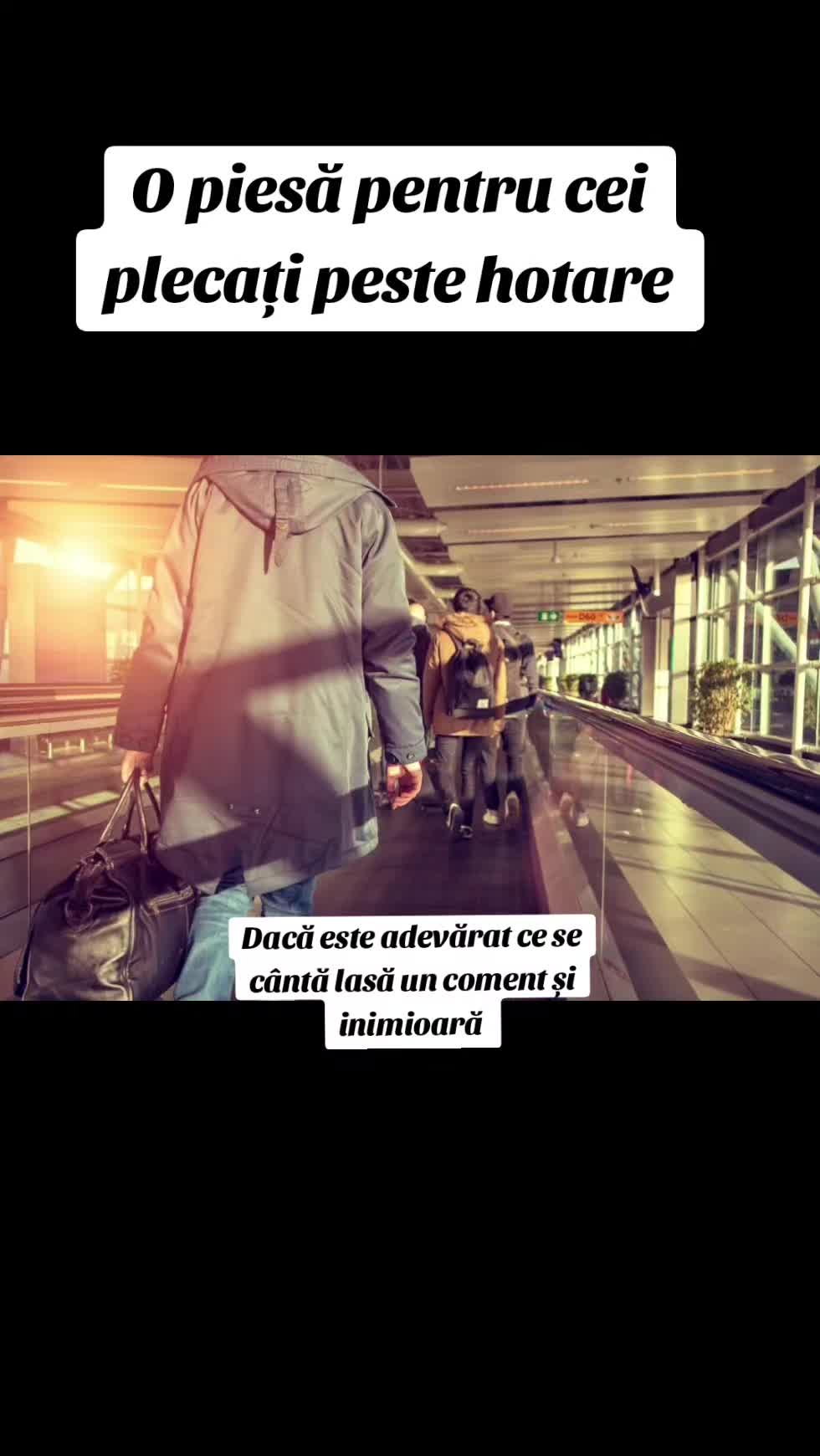@muzica de calitate