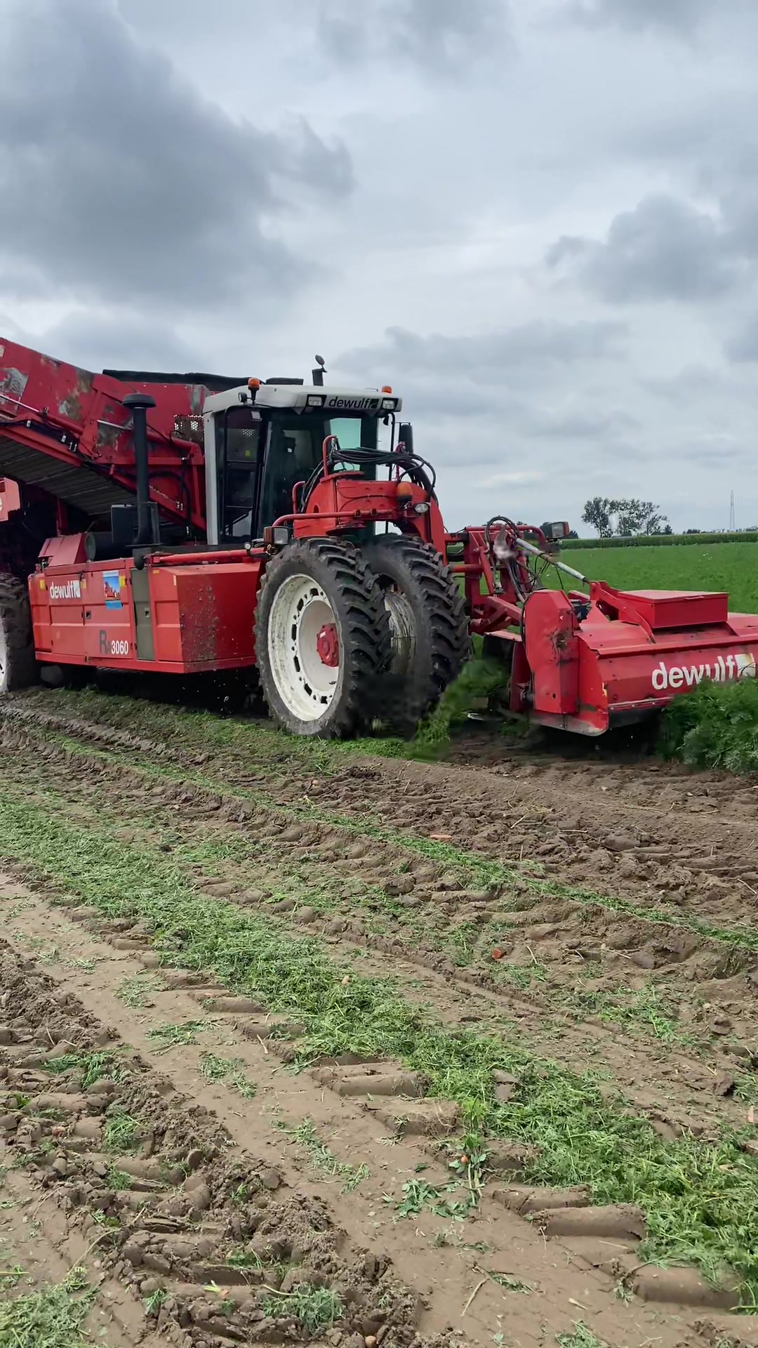 @Ćwikła agro