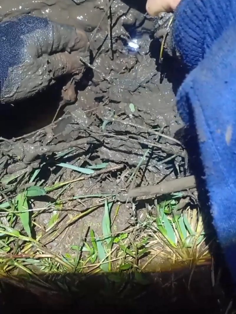 @iyazdoremi05