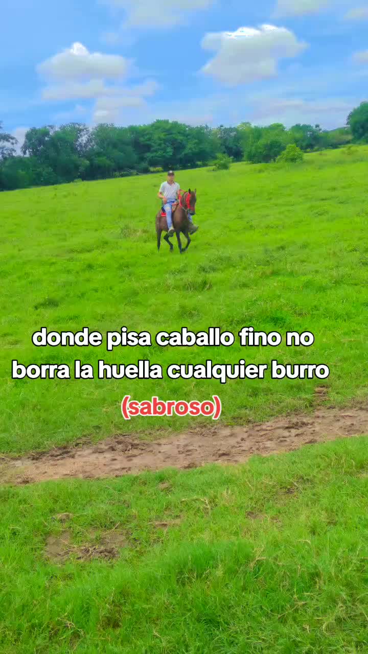@ever tovar