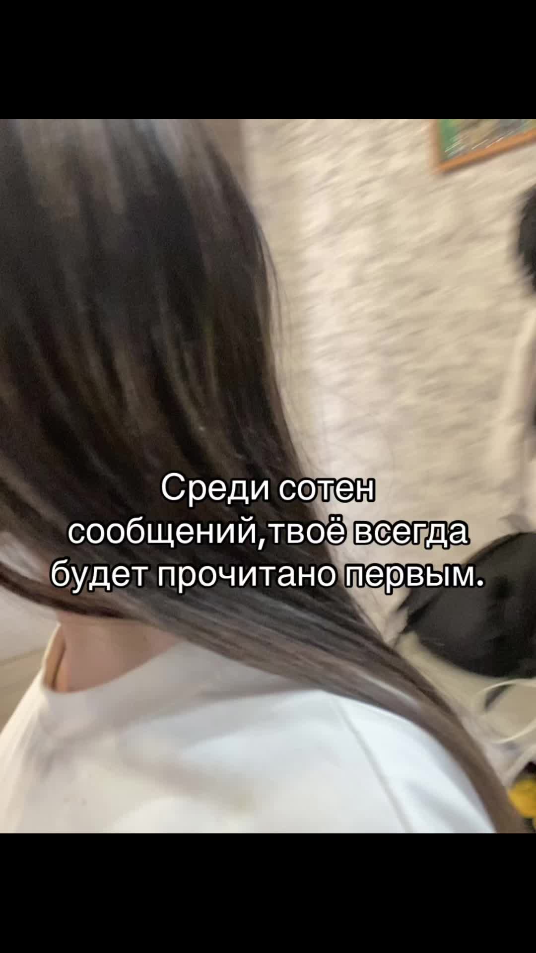 @🐈&zwj;⬛