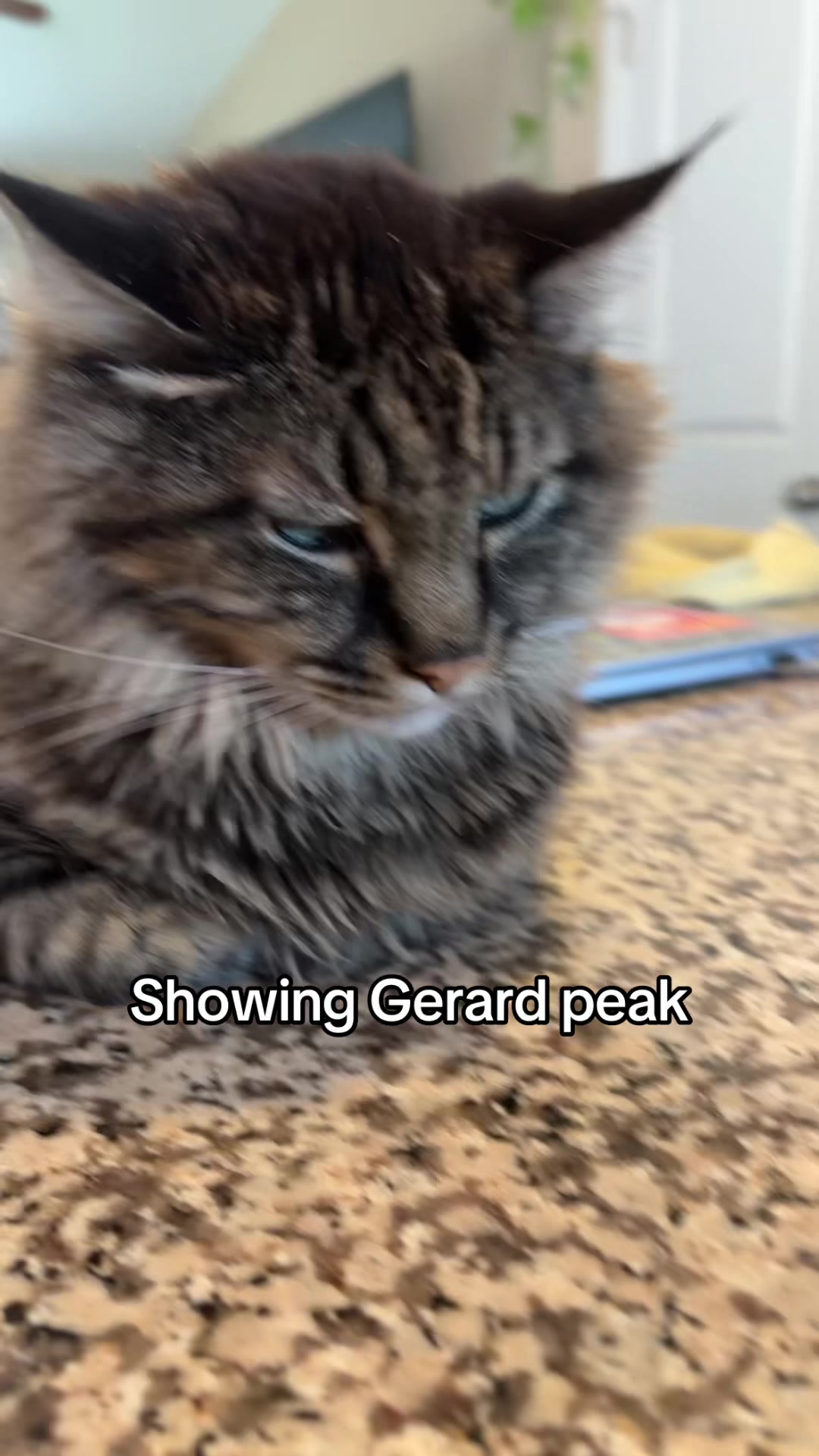 @️