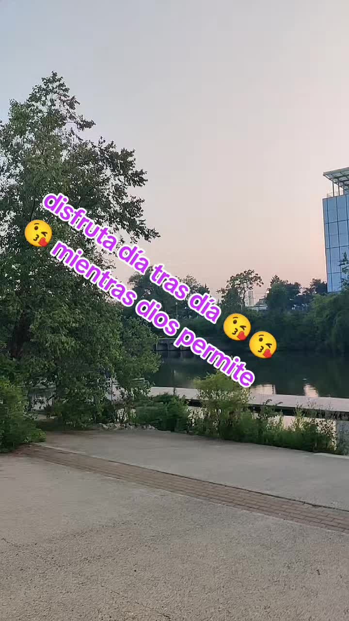 @mvenenaula90
