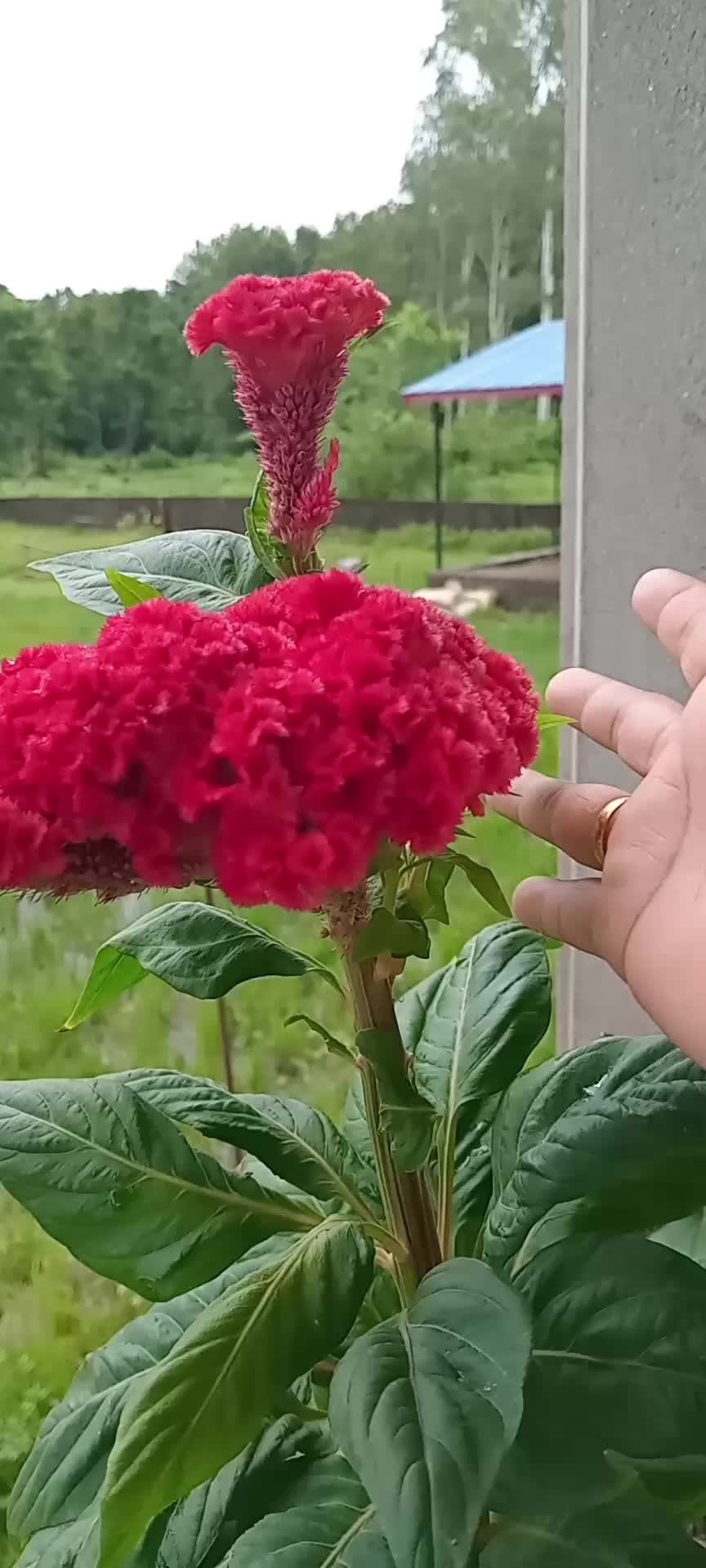 @user30643282353