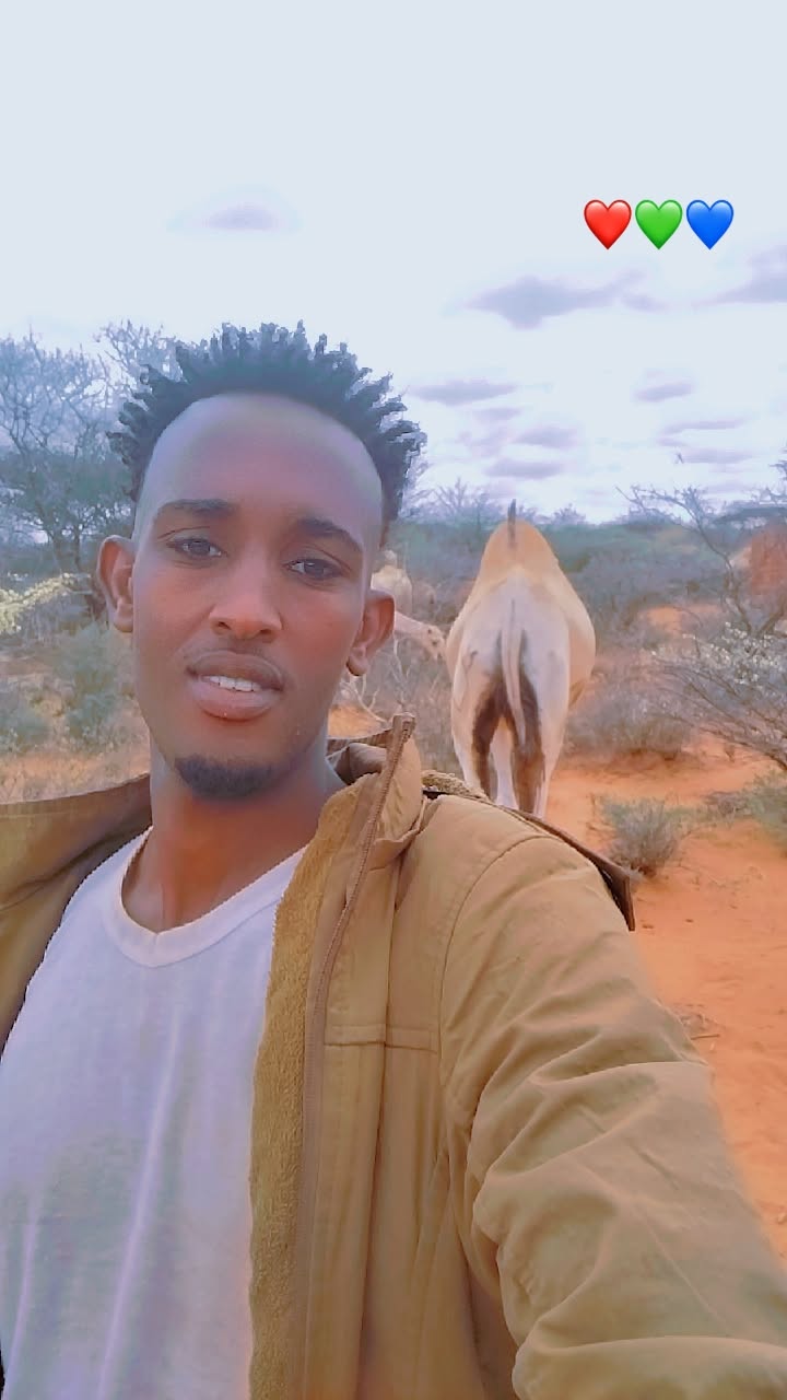 @GEel jire❤️🐪