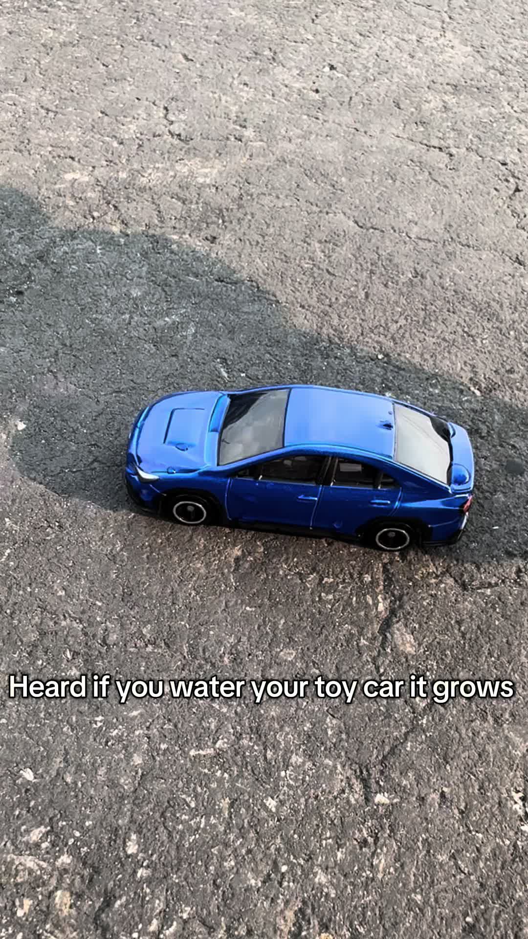 @Adam