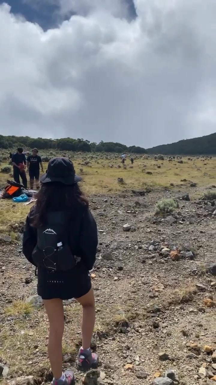 @🦋
