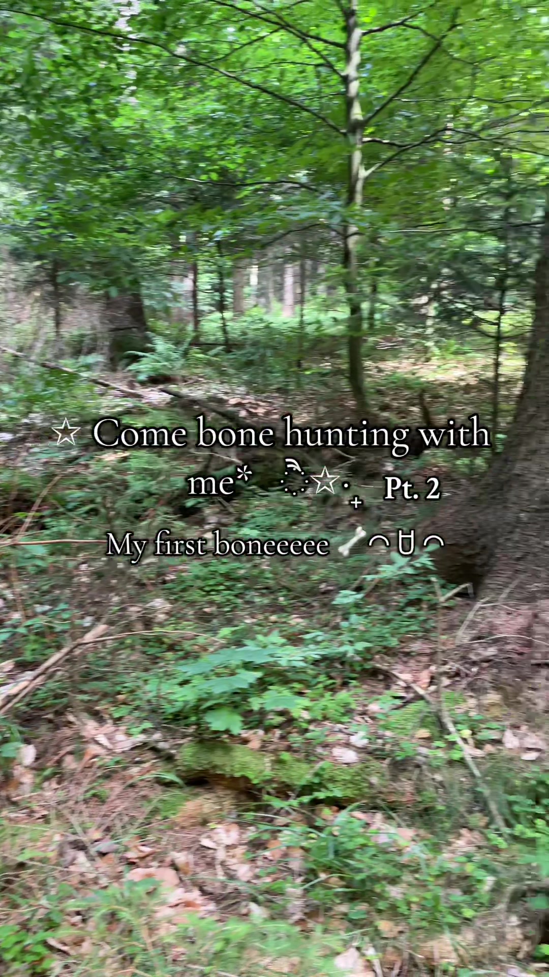@ˁ῁̮ˀᴇsᴜᴛᴇʀᴜ⋆
