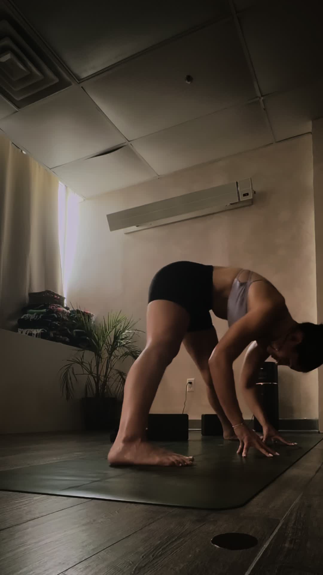 @MalkiJay