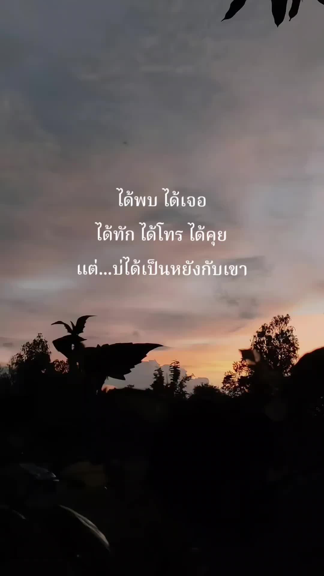 @pipat🌻🤍51.7K