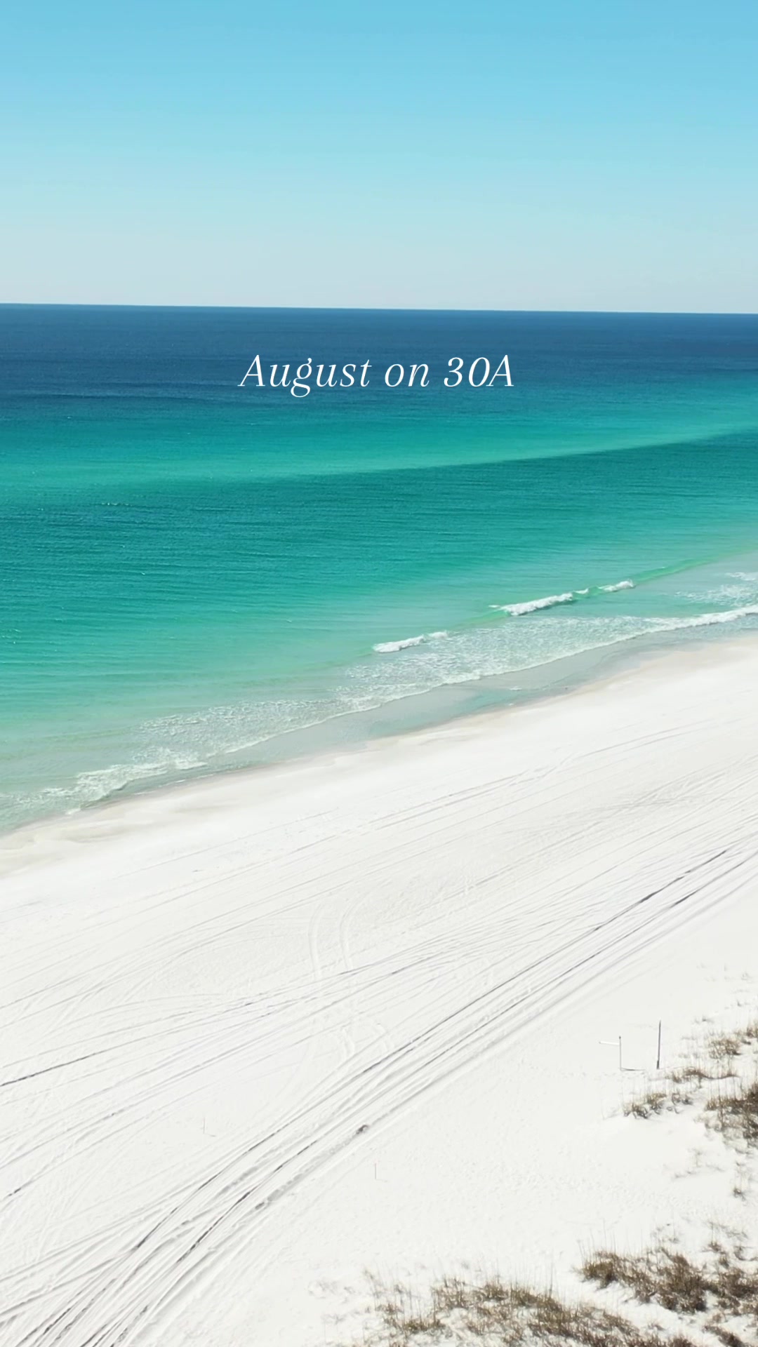 @Alexis Taylor | 30A Realtor