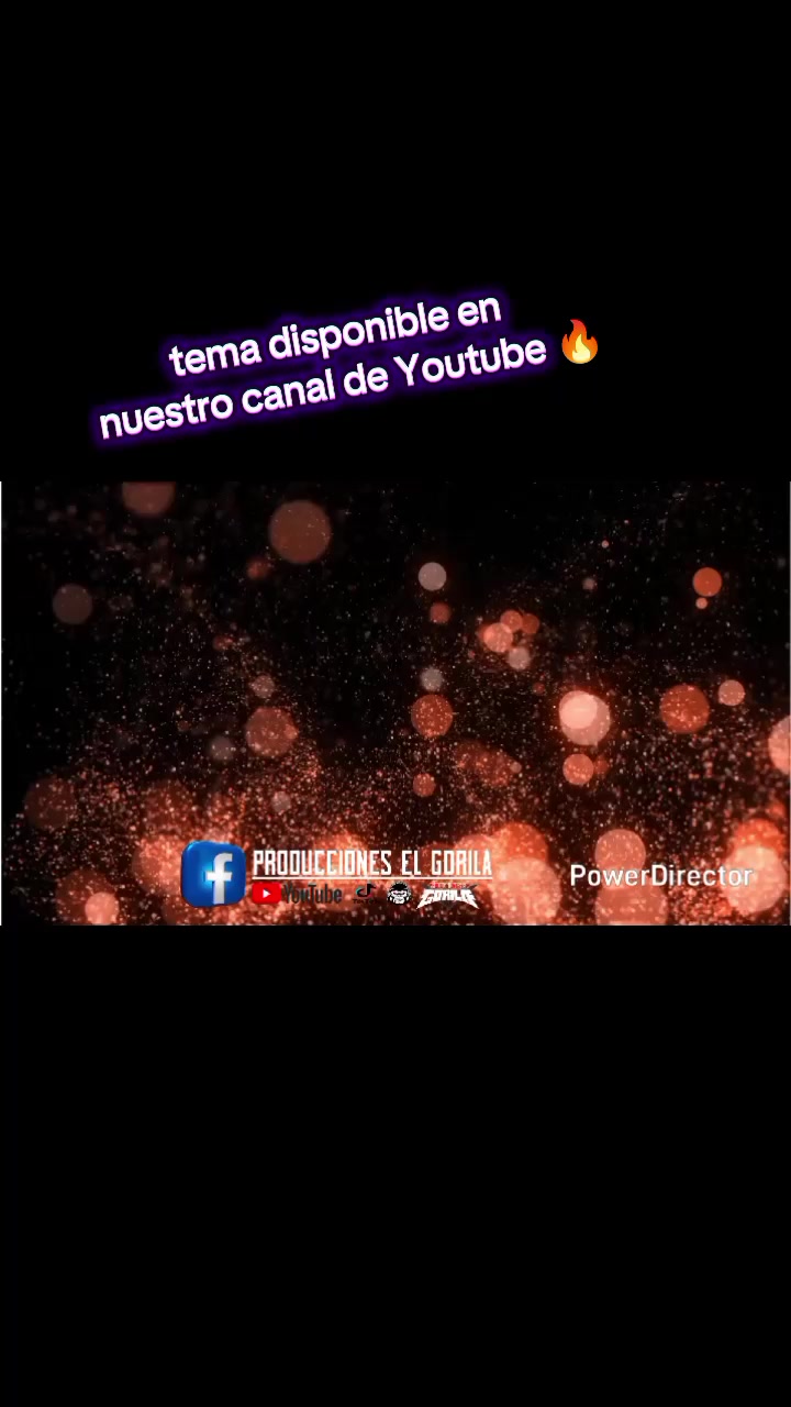 @produccioneselgorila