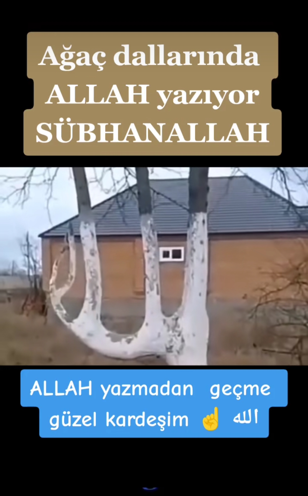 @aslan.44.44