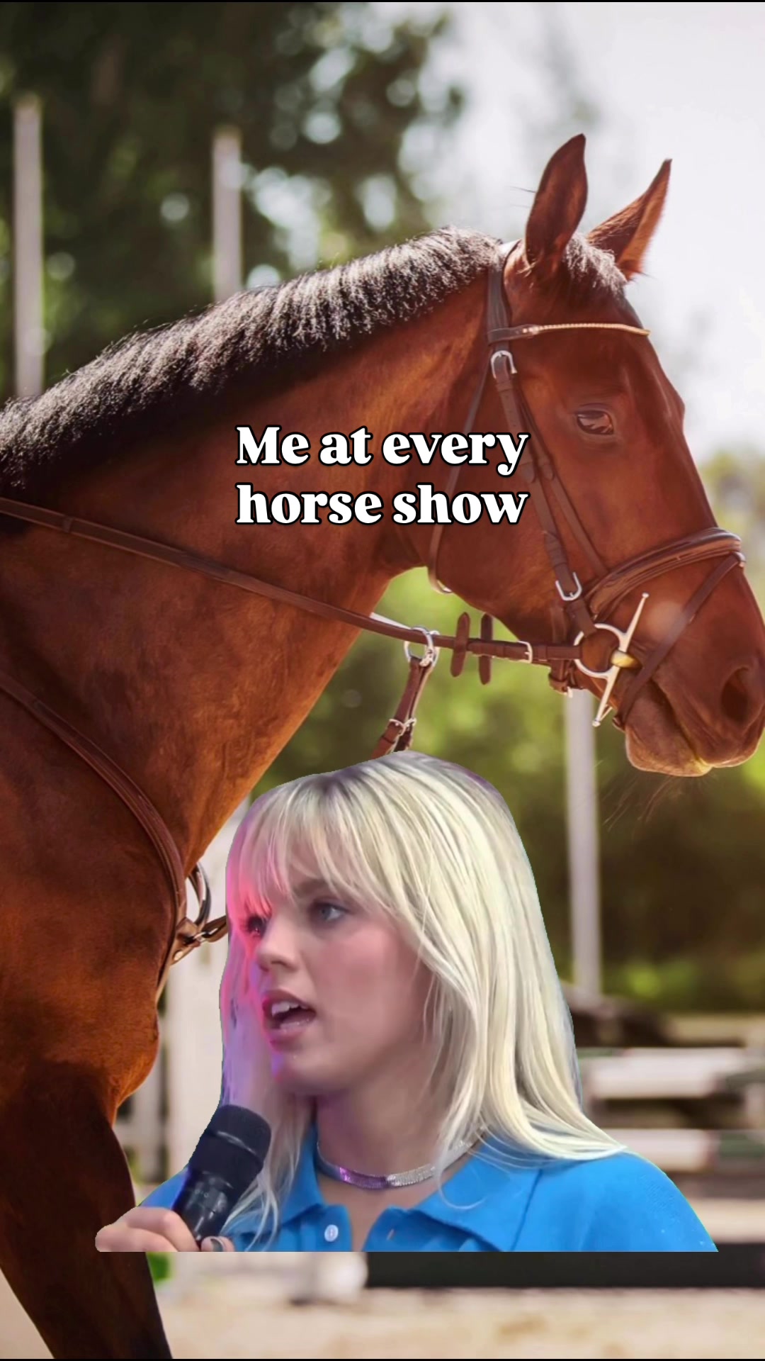 @Young Rider
