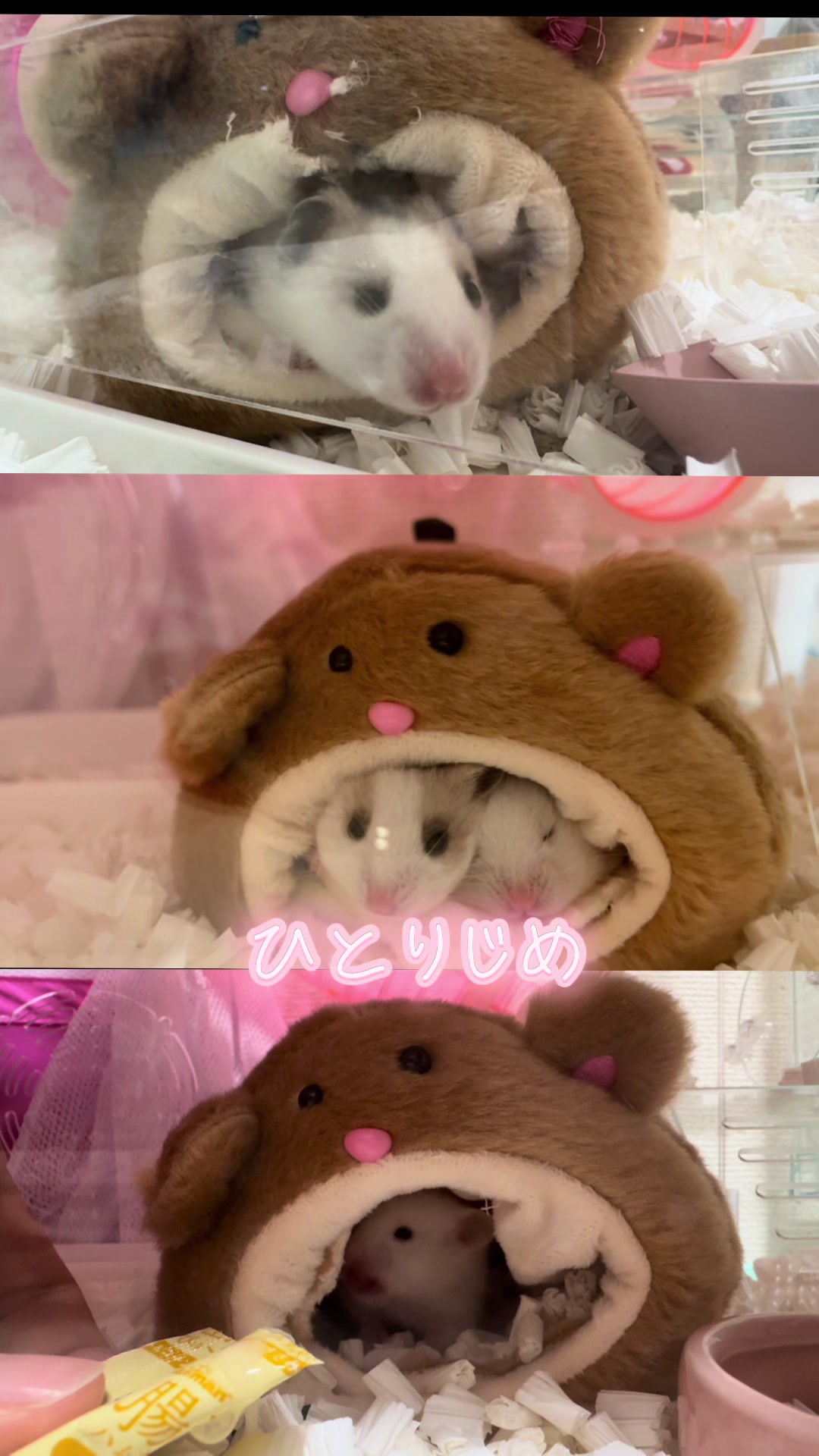 @田舎のネズミ