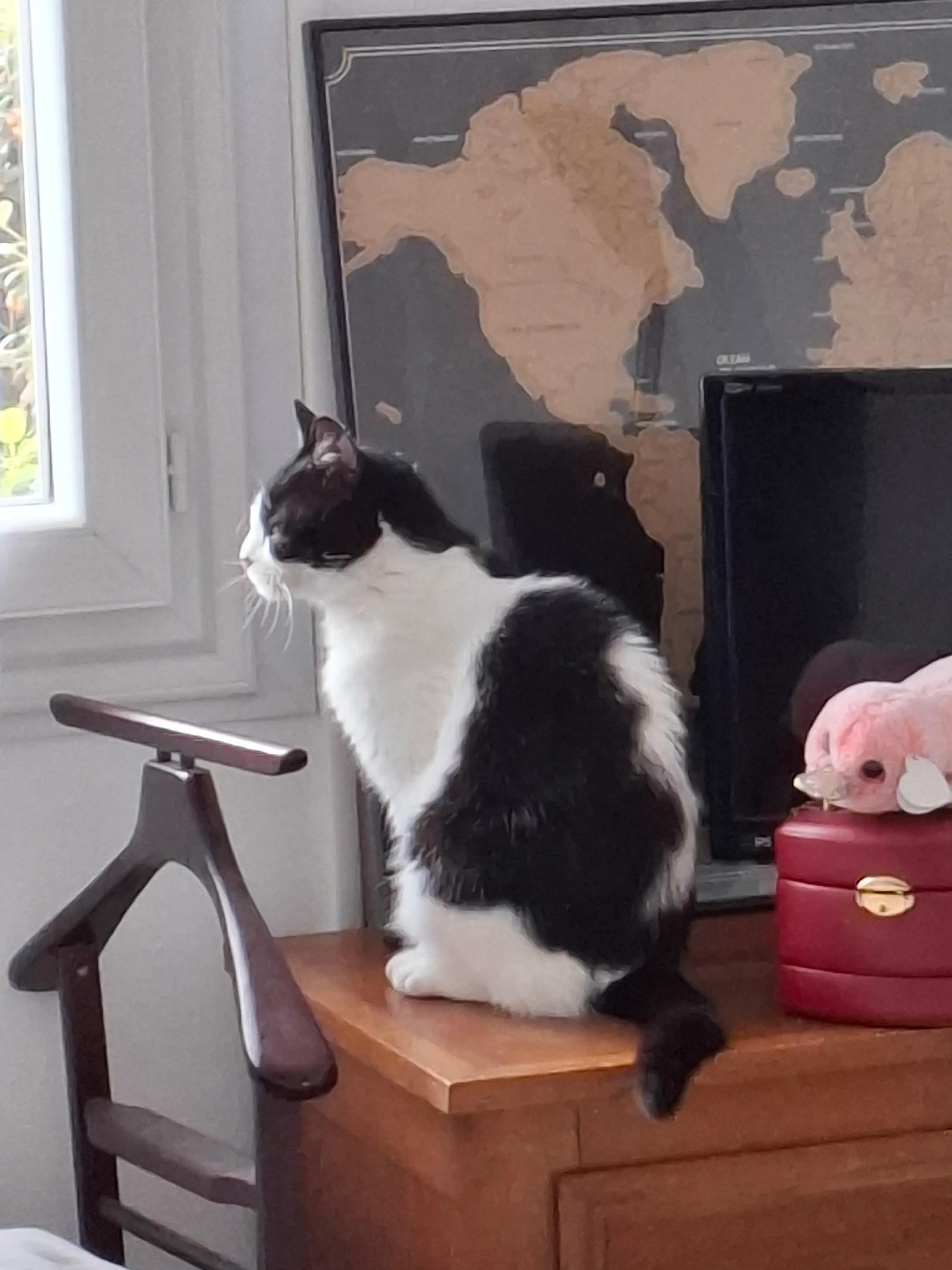 @La petite Lily et ses copains