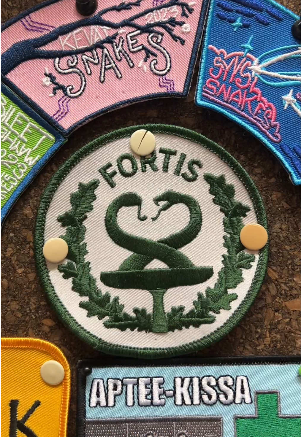 @Fortisry