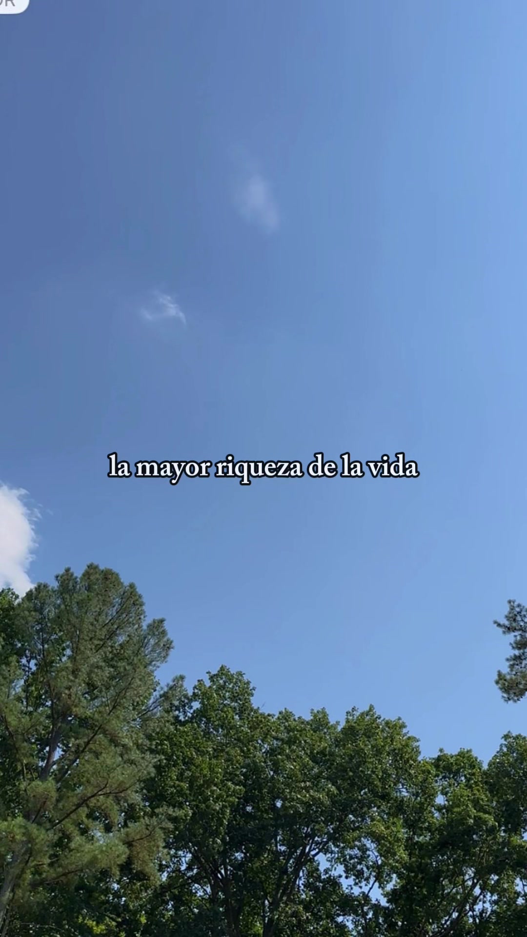 @Jesús mi proveedor