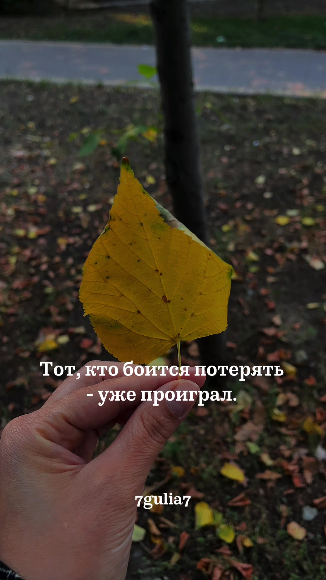 @7gulia7