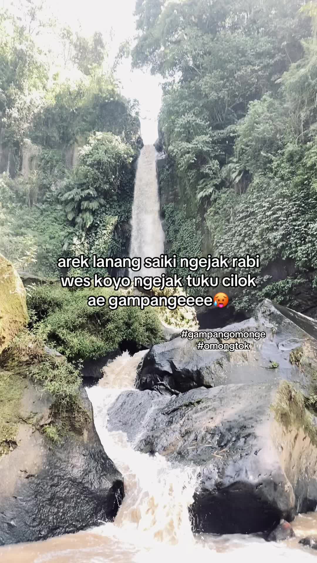 @wh0isy0u5_