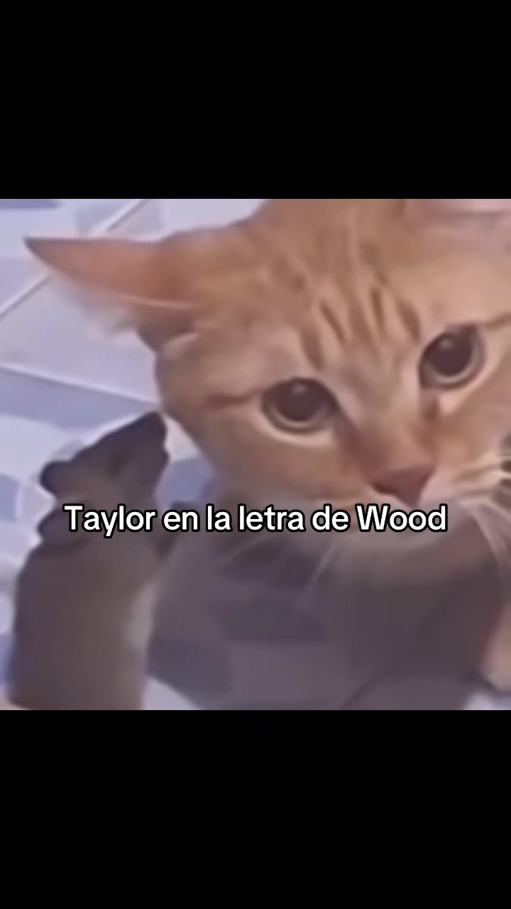 @adorbtaylor