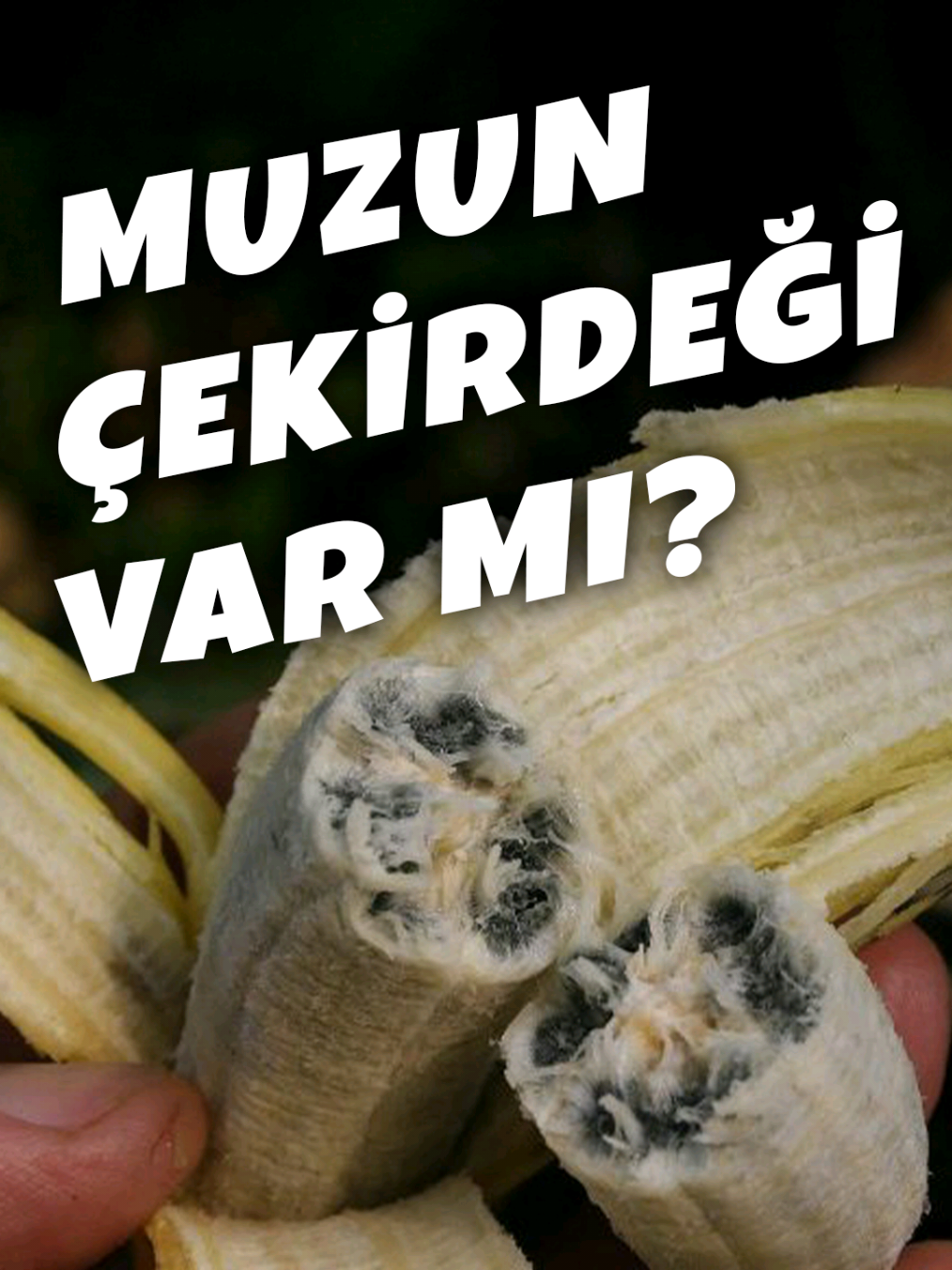 @Basfi ile Deneysel Bilim